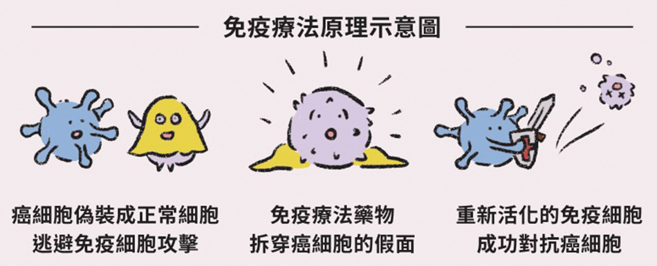 免疫療法原理示意圖來源台灣肺癌學會肺癌治療衛教手冊